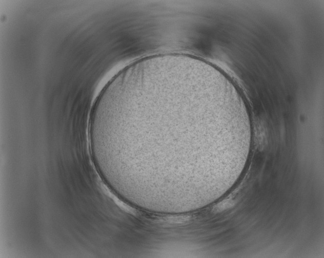 X0000067951294200605041816