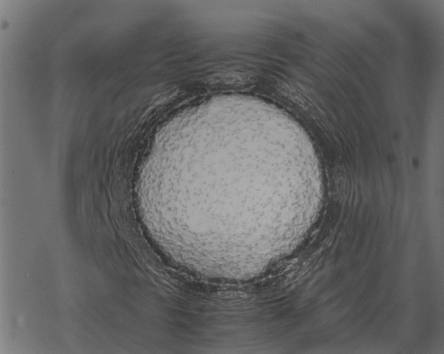 X0000067951297200605041815