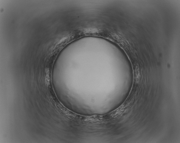 X0000067951301200605041815