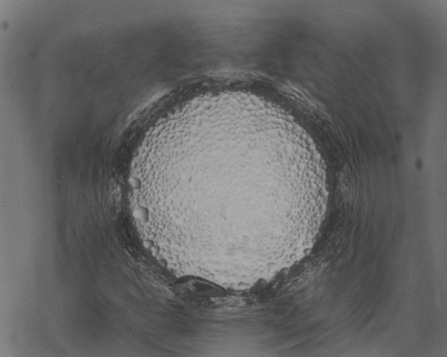 X0000067951302200605041815