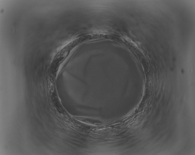 X0000067951303200605041815