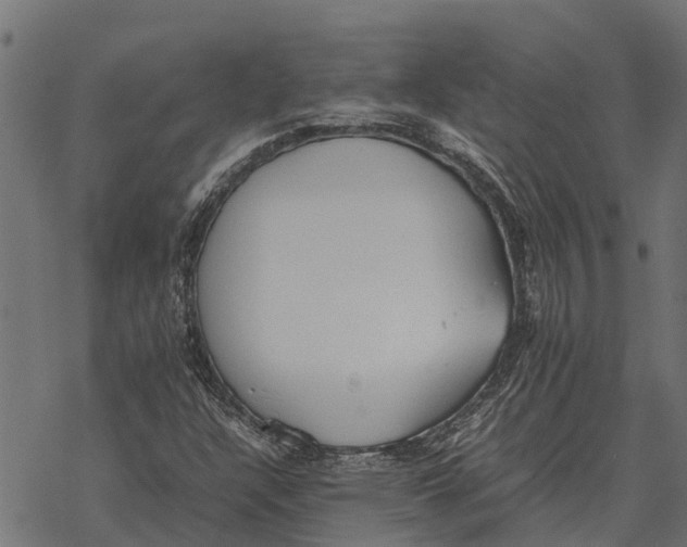 X0000067951304200605041815