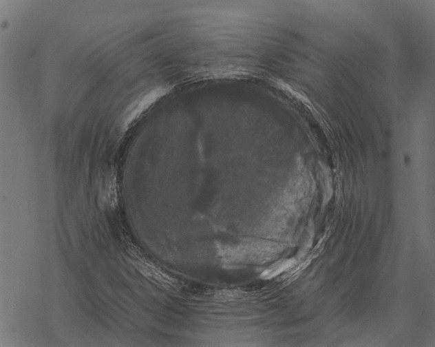 X0000067951306200605041815