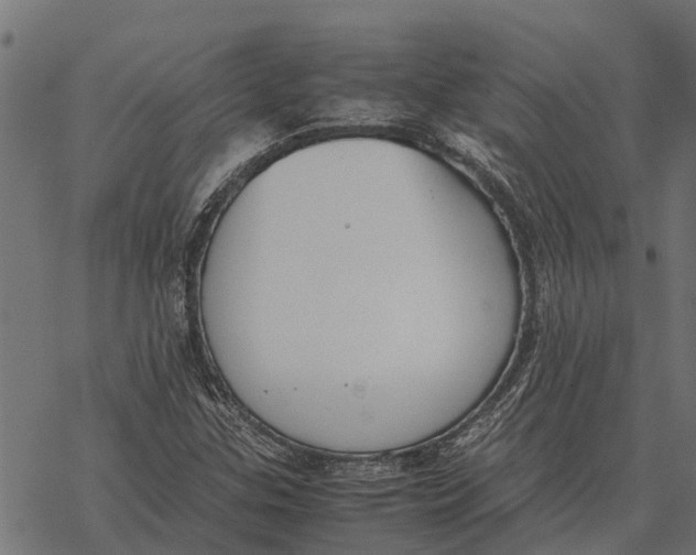 X0000067951307200605041815