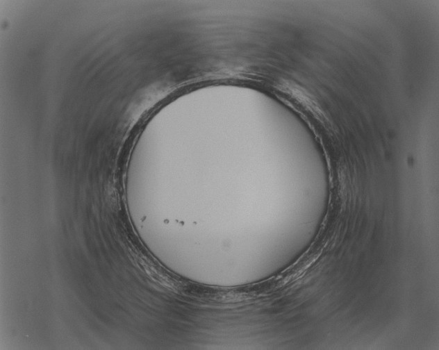 X0000067951308200605041815