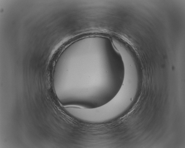 X0000067951310200605041815