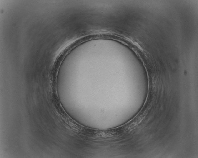 X0000067951311200605041815