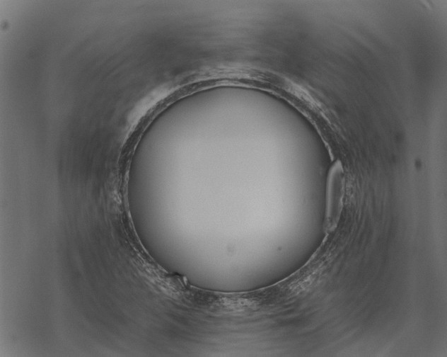 X0000067951312200605041815