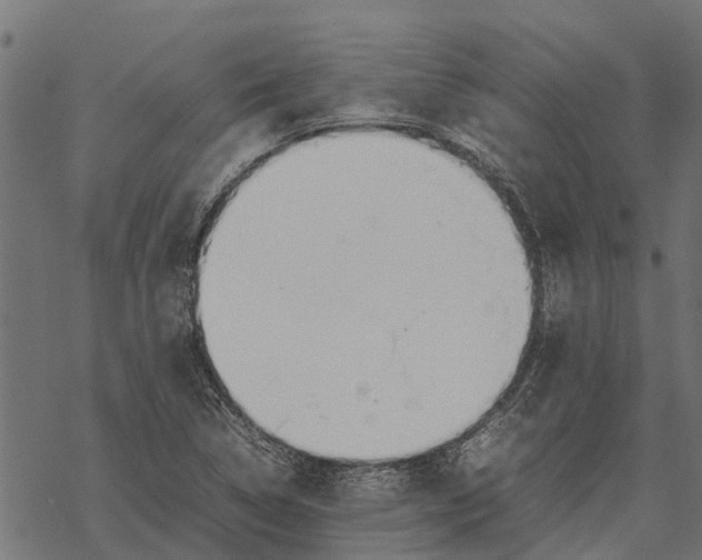 X0000067951314200605041815