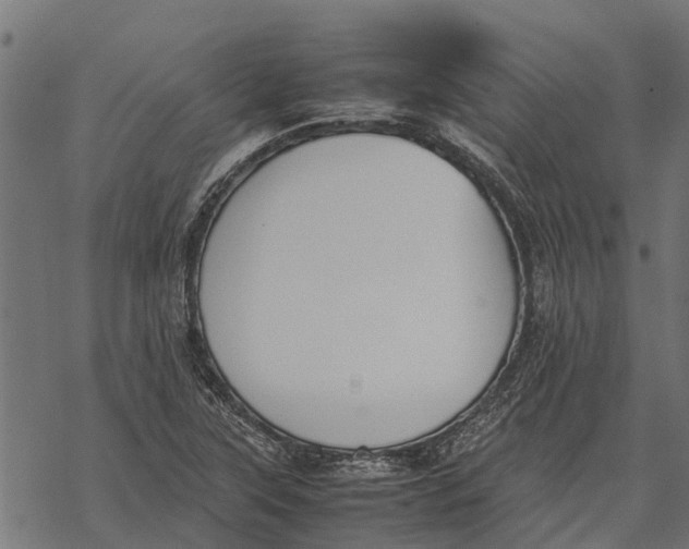 X0000067951315200605041816