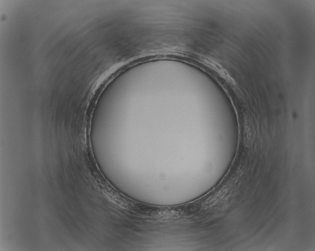 X0000067951316200605041816