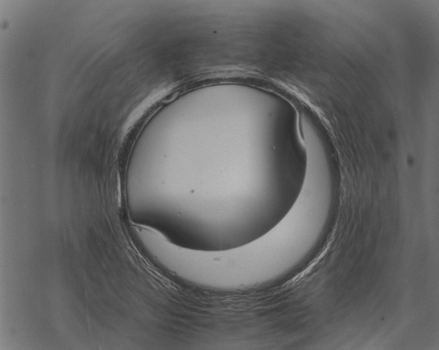 X0000067951317200605041816