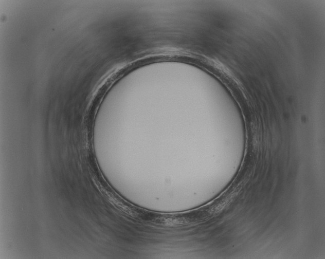 X0000067951318200605041816