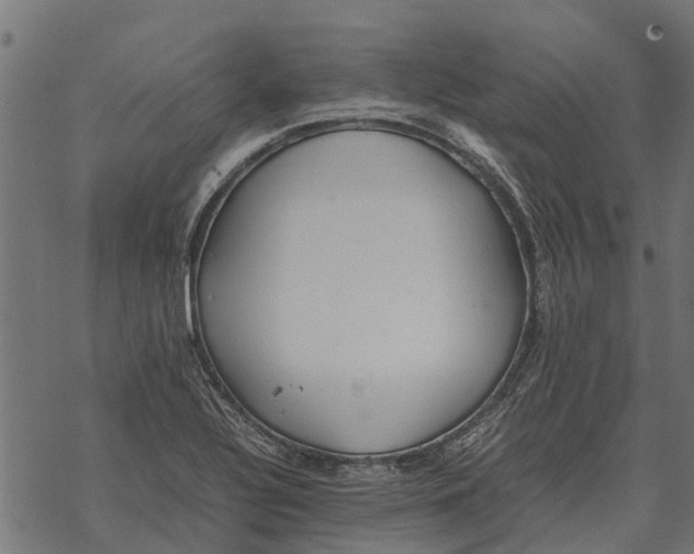 X0000067951320200605041816