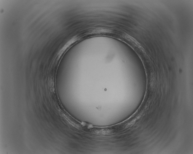 X0000067951321200605041816