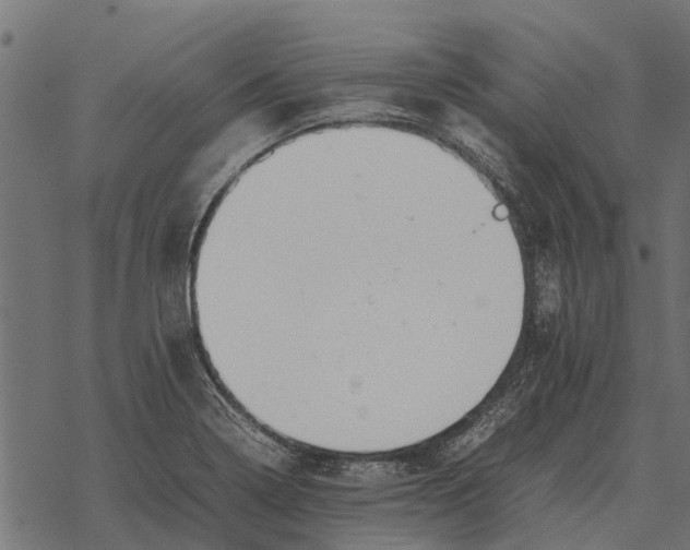 X0000067951322200605041816