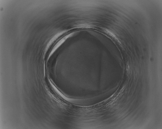 X0000067951323200605041816