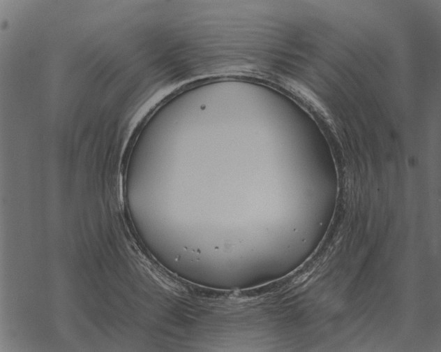 X0000067951324200605041816