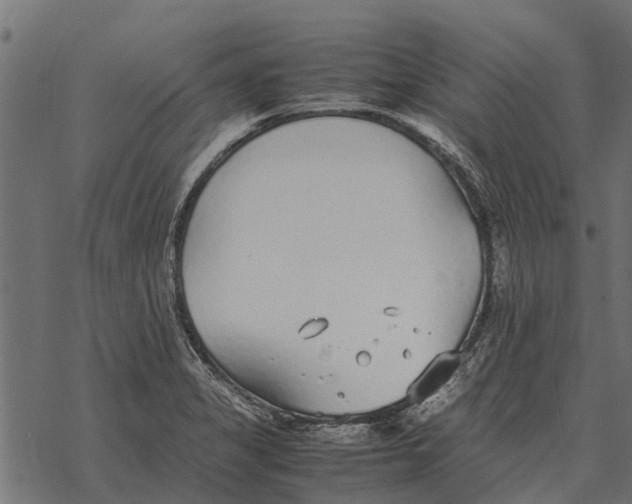 X0000067951325200605041816