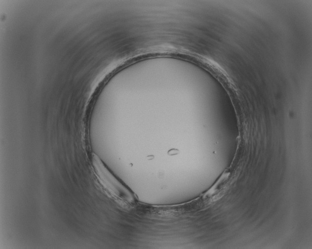 X0000067951326200605041816