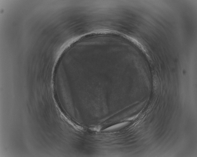 X0000067951327200605041816