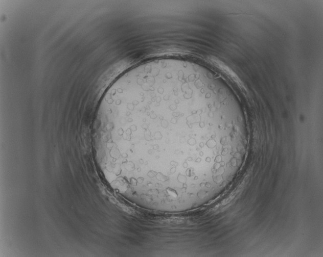 X0000067951329200605041816