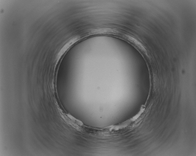 X0000067951330200605041816