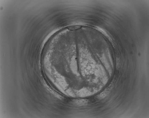 X0000067951331200605041816