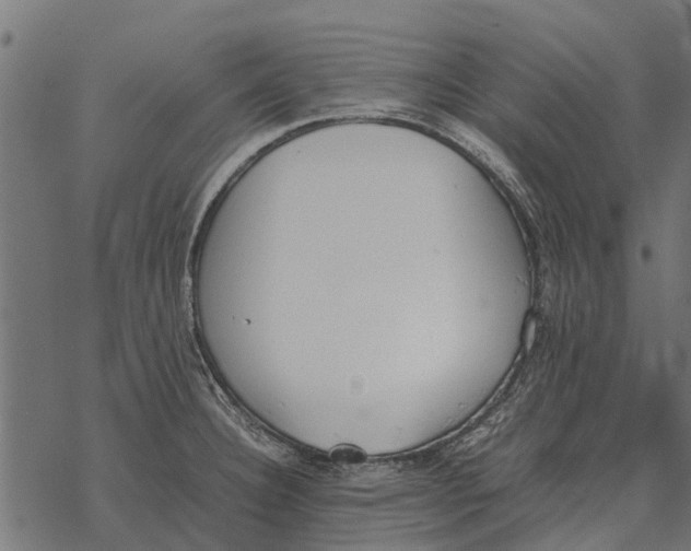 X0000067951332200605041816