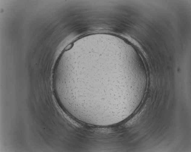 X0000067951333200605041816