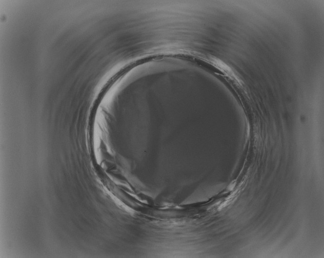 X0000067951334200605041816