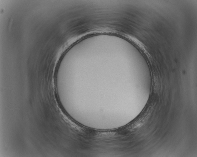 X0000067951335200605041816