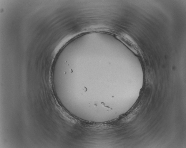 X0000067951336200605041816