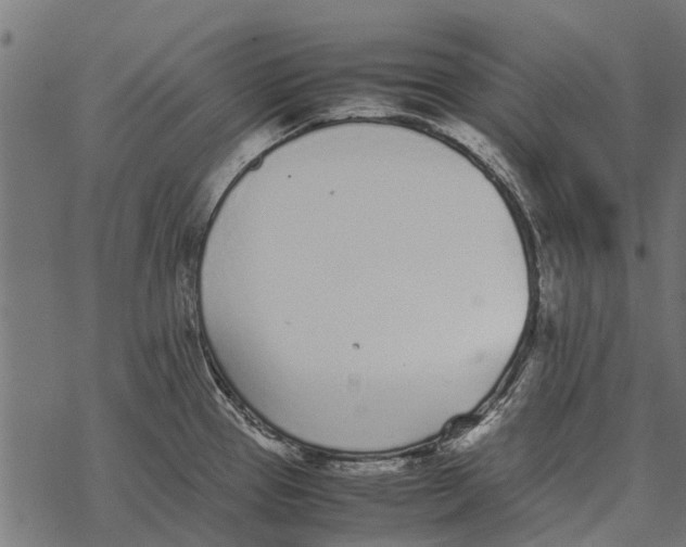 X0000067951337200605041816