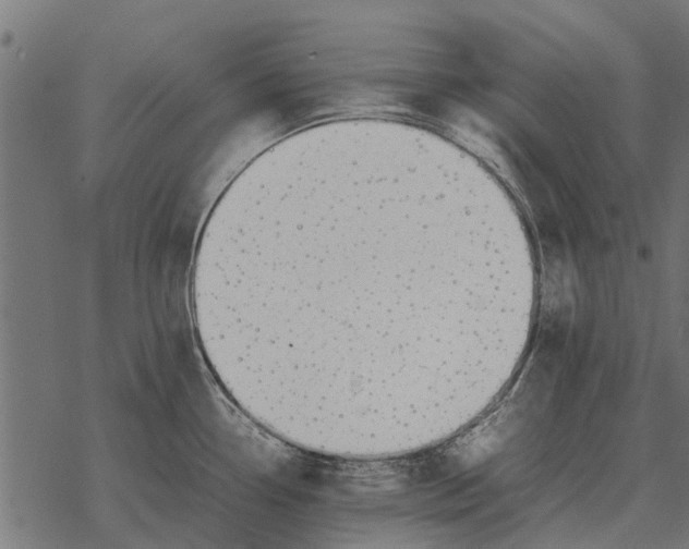 X0000067951338200605041816