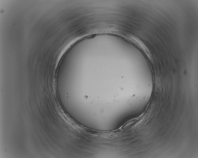 X0000067951340200605041816