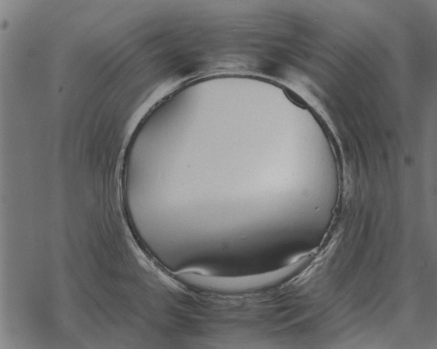 X0000067951341200605041816