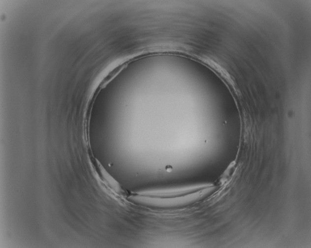 X0000067951342200605041816