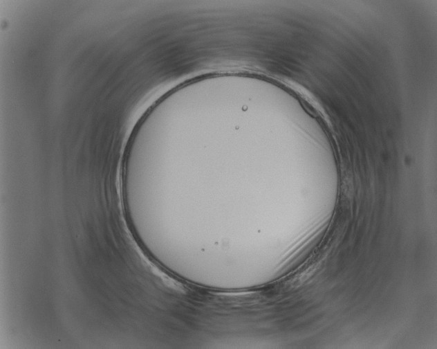 X0000067951343200605041816