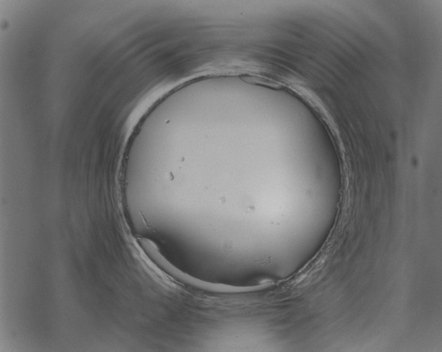 X0000067951344200605041816