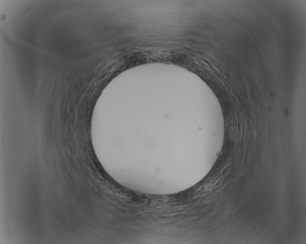 X0000067951345200605041815