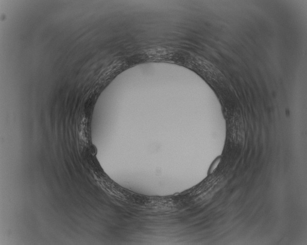 X0000067951346200605041815