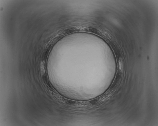 X0000067951347200605041815