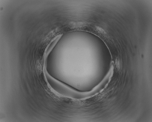 X0000067951348200605041815