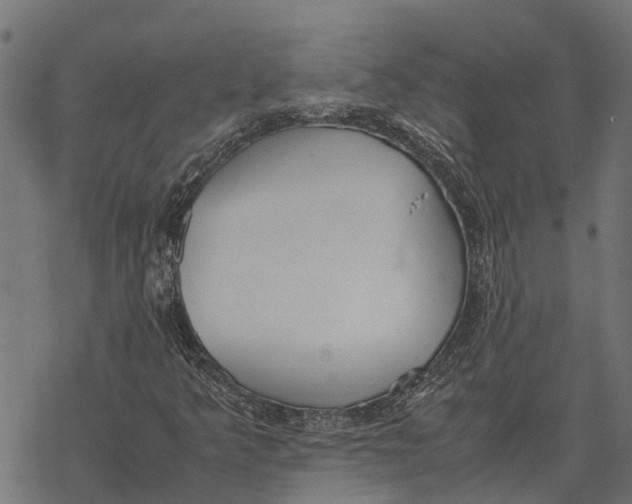 X0000067951349200605041815