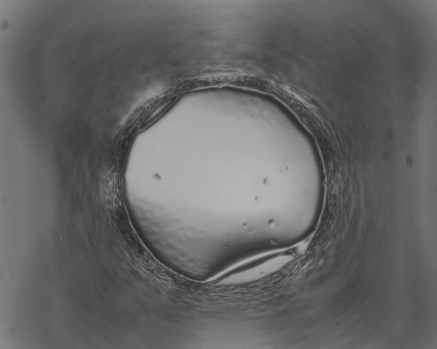 X0000067951351200605041815