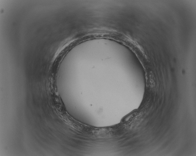 X0000067951352200605041815