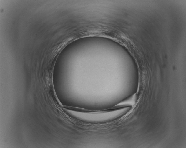 X0000067951353200605041815