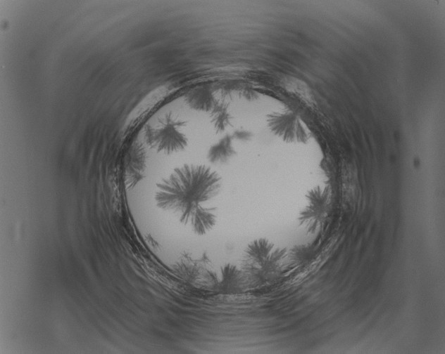 X0000067951354200605041815