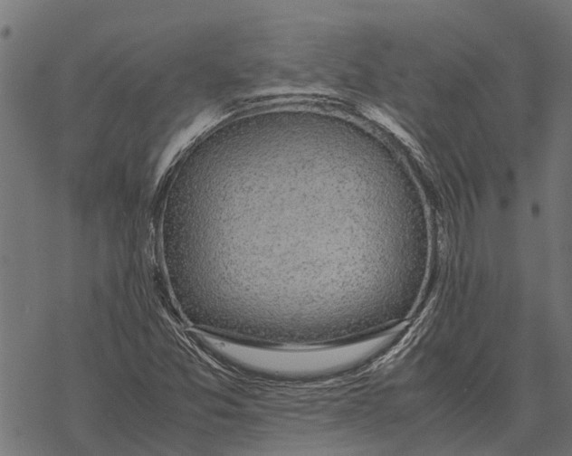 X0000067951357200605041815